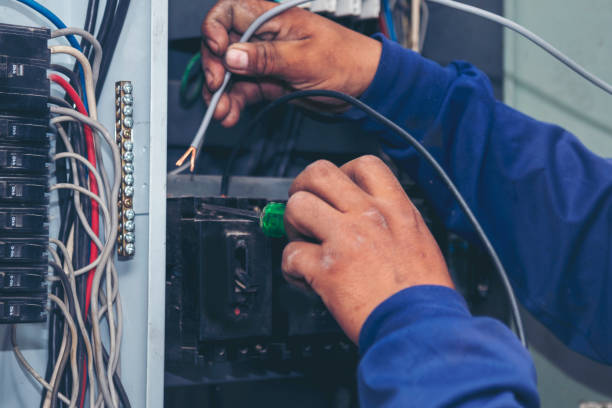 Best Electrical Repair Services  in Friona, TX