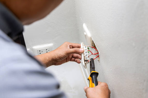 Best Electrical Upgrades for Homes  in Friona, TX